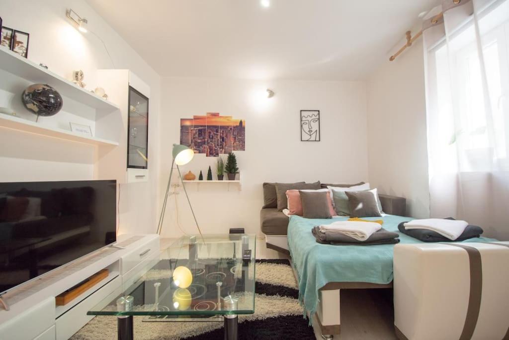 Central Duplex Apartment Novi Sad Bagian luar foto