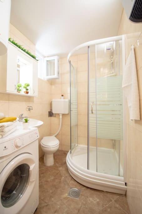 Central Duplex Apartment Novi Sad Bagian luar foto