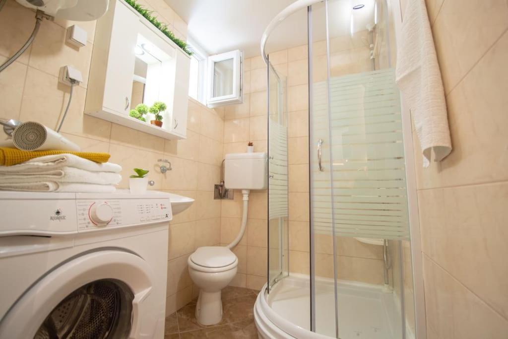 Central Duplex Apartment Novi Sad Bagian luar foto