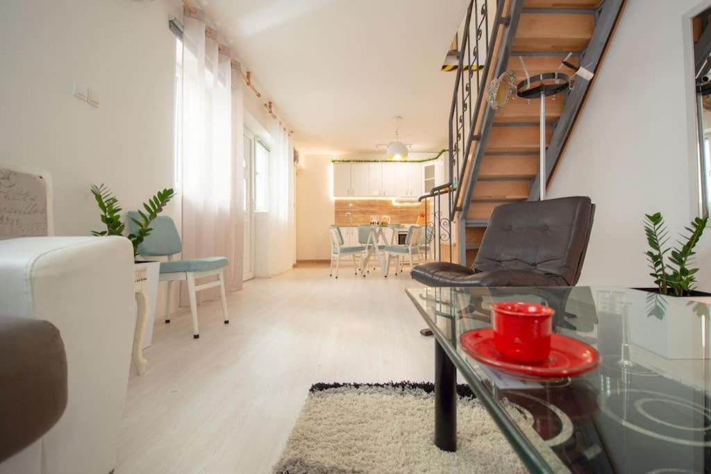 Central Duplex Apartment Novi Sad Bagian luar foto