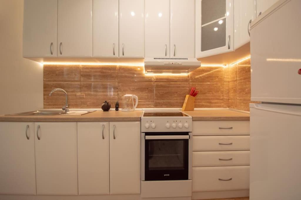 Central Duplex Apartment Novi Sad Bagian luar foto