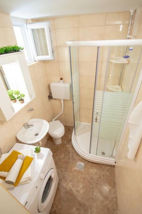 Central Duplex Apartment Novi Sad Bagian luar foto