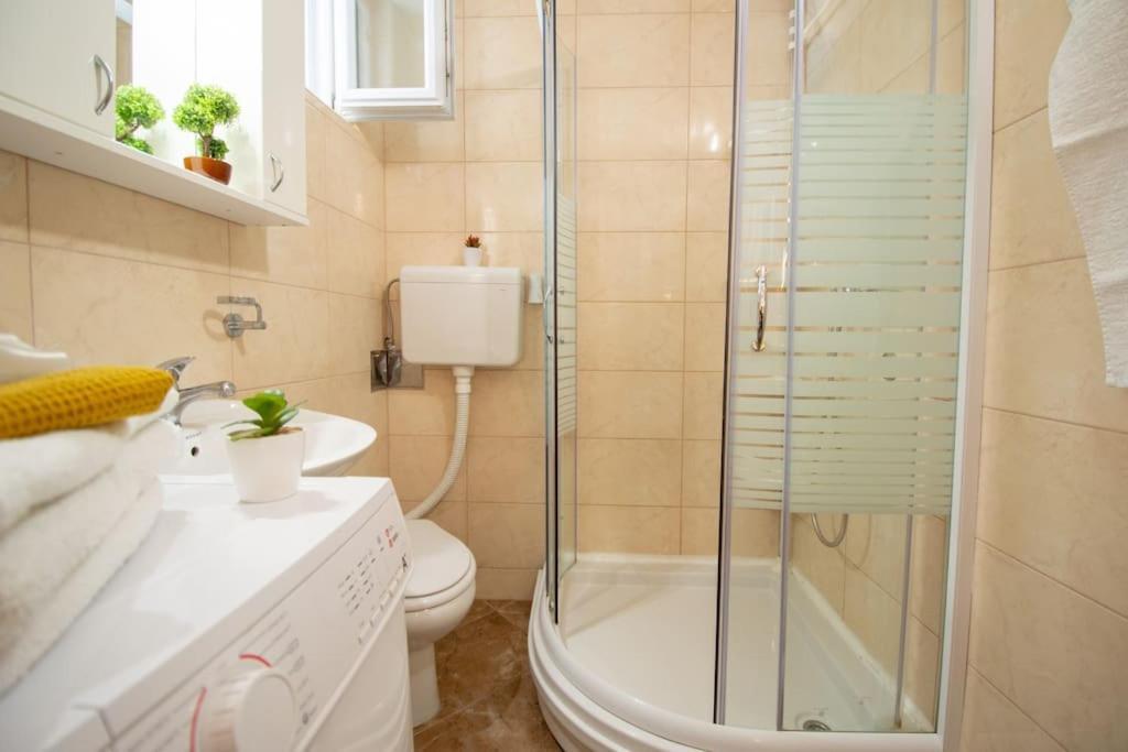 Central Duplex Apartment Novi Sad Bagian luar foto