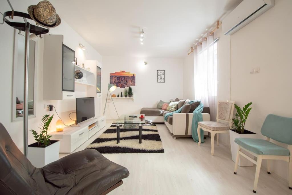 Central Duplex Apartment Novi Sad Bagian luar foto