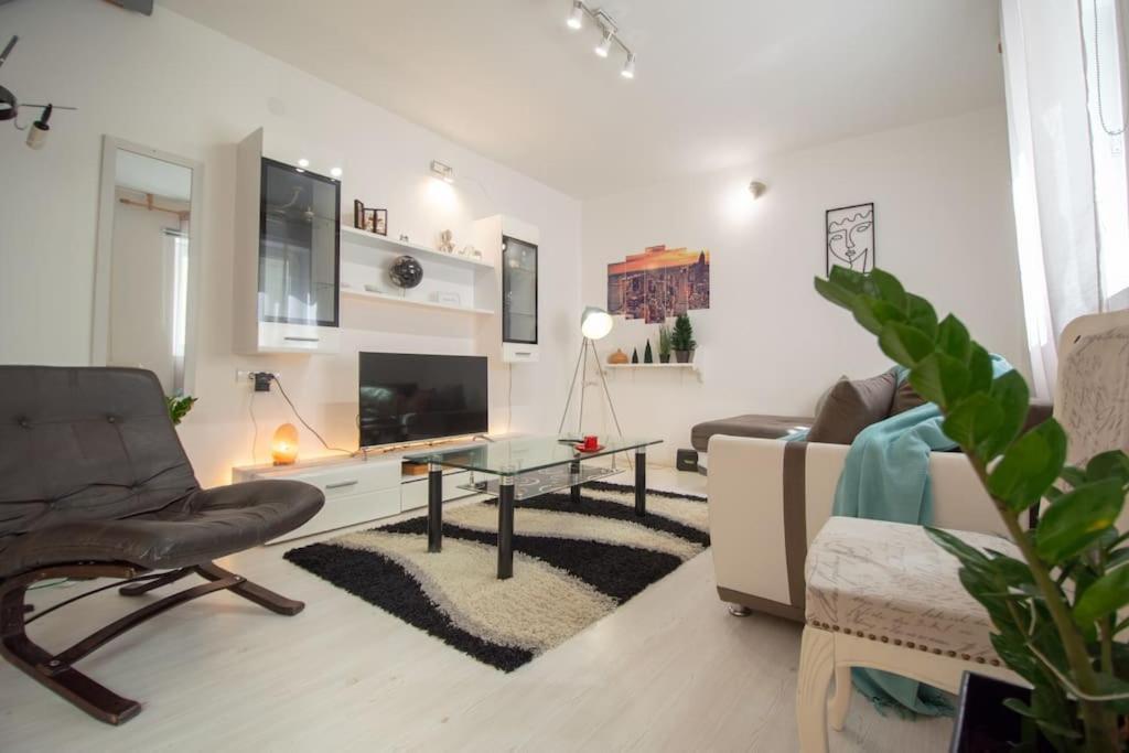 Central Duplex Apartment Novi Sad Bagian luar foto
