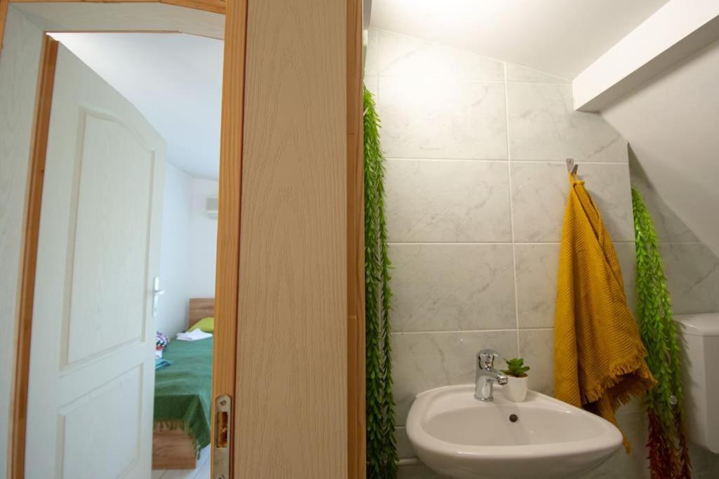 Central Duplex Apartment Novi Sad Bagian luar foto